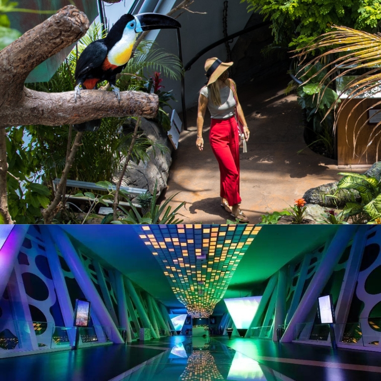 Another view of Dubai Frame + The Green Planet Dubai - Combo at City Walk (The Green Planet Dubai)