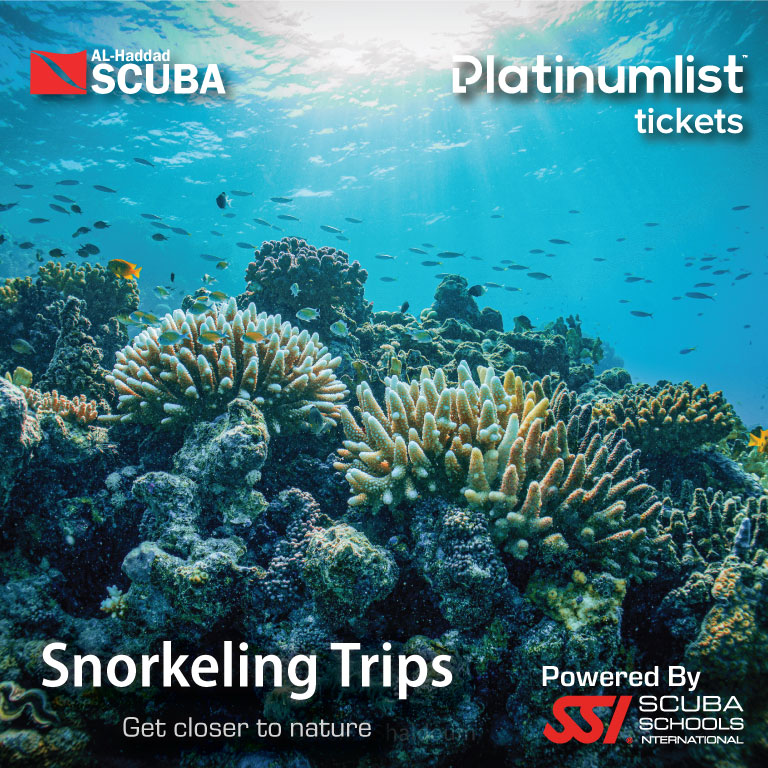 Snorkeling Daily Trips Tickets, Jeddah. Best Offers and Prices