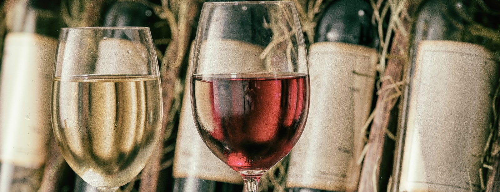 Ancient Ephesus & Wine Tasting Private Tour Sightseeing and Tours at dubaimasala.com Ancient Ephesus & Wine Tasting Private Tour Sightseeing and Tours at dubaimasala.com