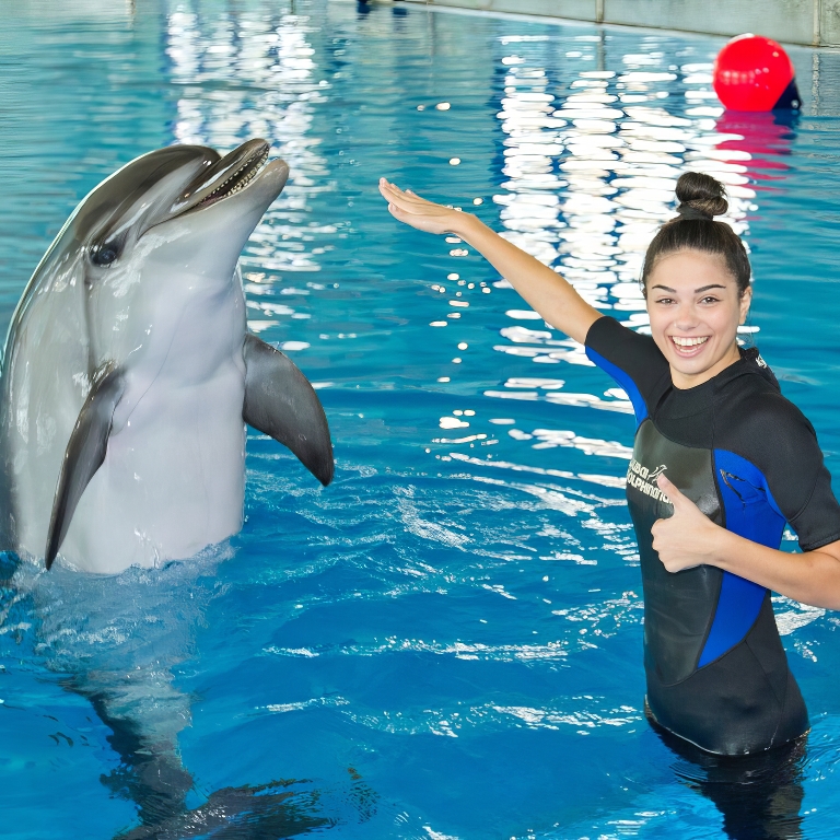 Another view of Swimming With Dolphins - Dubai Dolphinarium at Dubai Dolphinarium