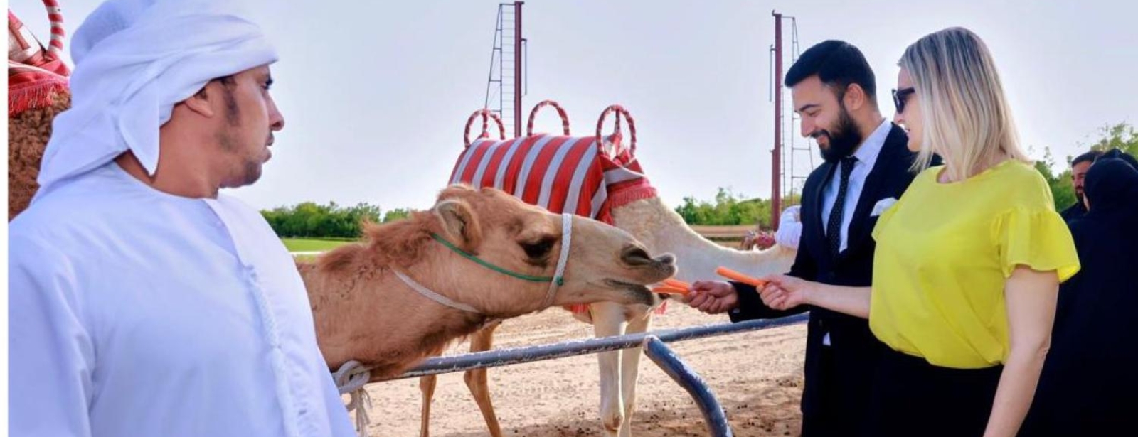 Camelicious Dubai Must-see attractions at dubaimasala.com Camelicious Dubai Must-see attractions at dubaimasala.com