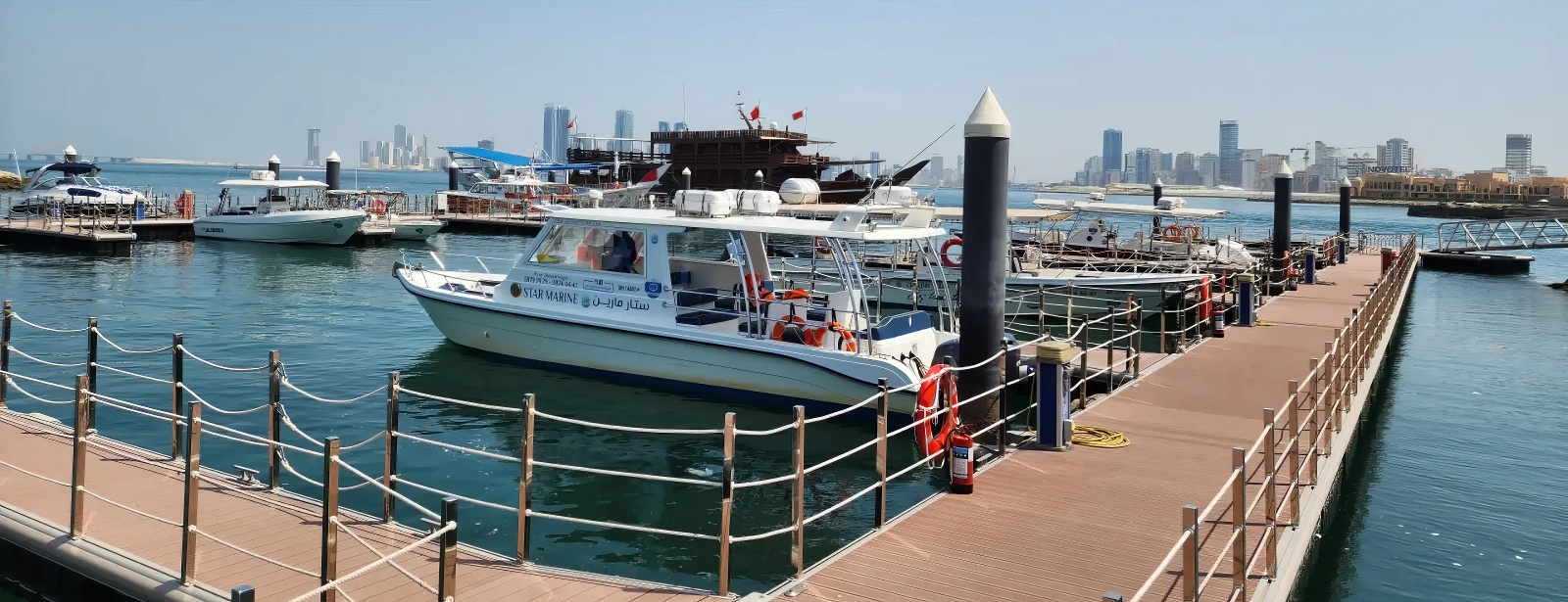 Private Boat Trip to Saada Island, photo 3