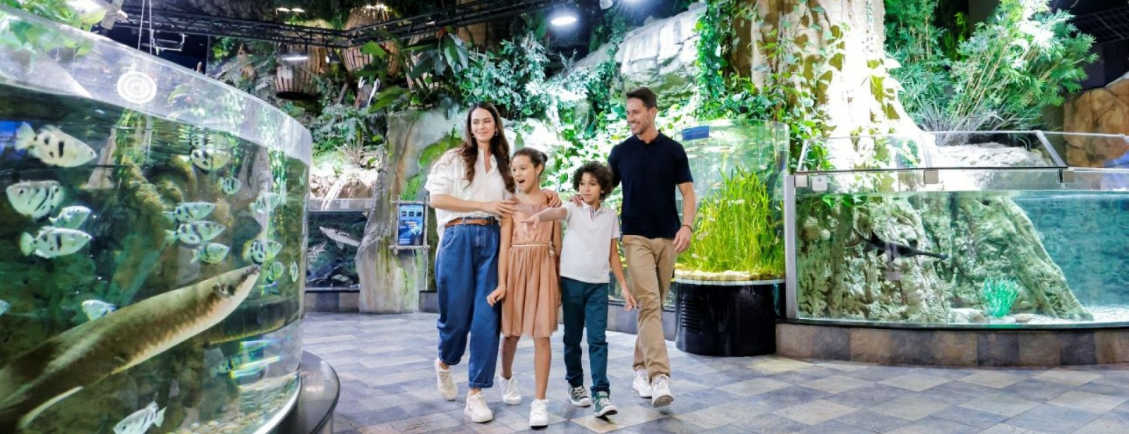 Dubai Aquarium & Underwater Zoo - Ultimate Experience Experiences at dubaimasala.com