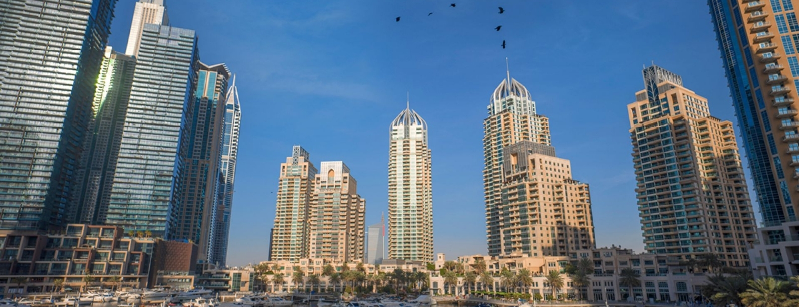 Dubai Full Day Tour Attractions Special Offers at dubaitrades.com