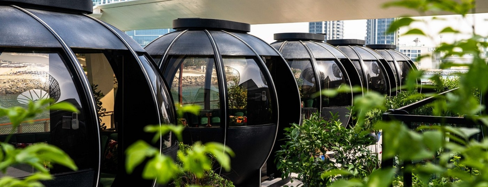 The Pods 4-Course Set Menu Brunches at dubaimasala.com