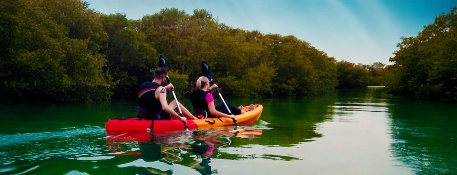 Mangroves Kayaking at Purple Island - Qool Qatar Must-see attractions at dubaitrades.com
