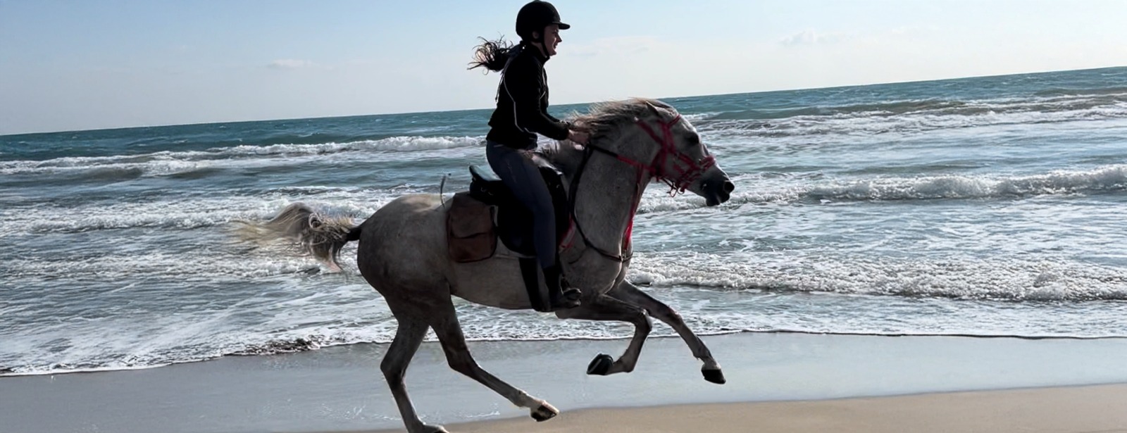Horse Riding at Shahaniya -  Qool Qatar Must-see attractions at dubaitrades.com