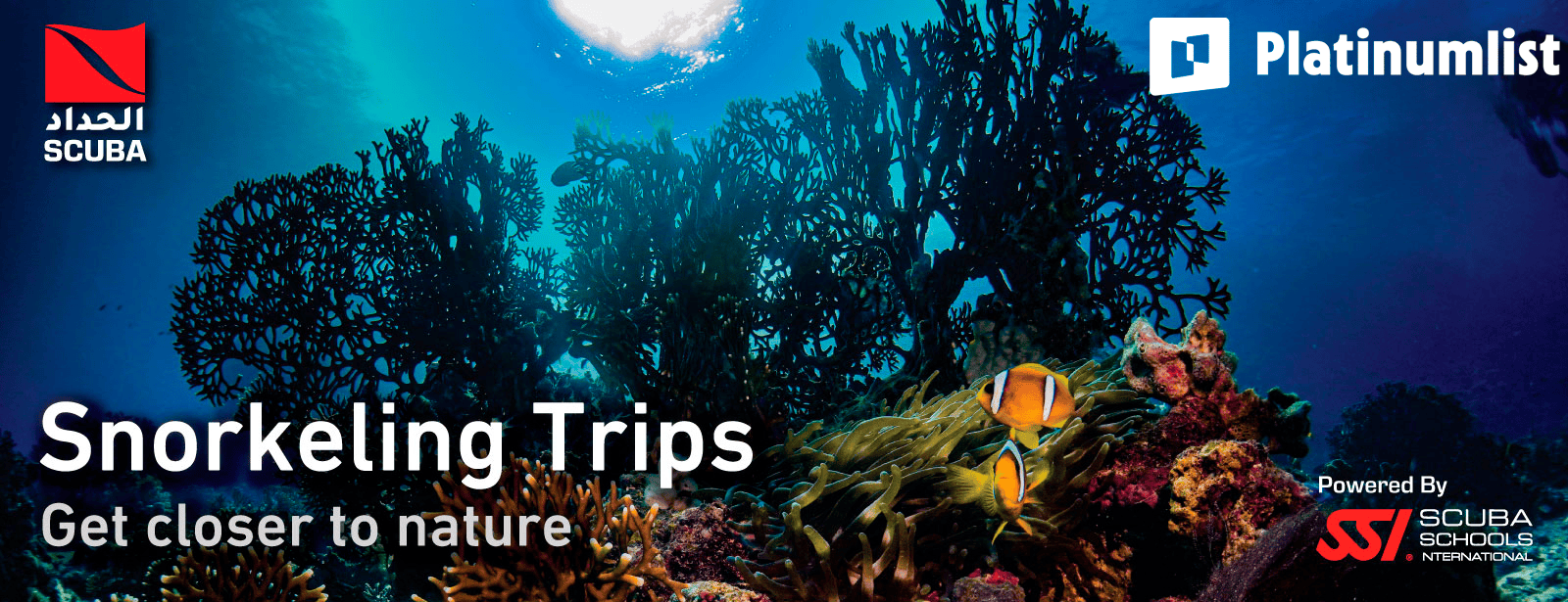 Snorkeling Daily Trips in Jeddah Attractions Special Offers at dubaitrades.com
