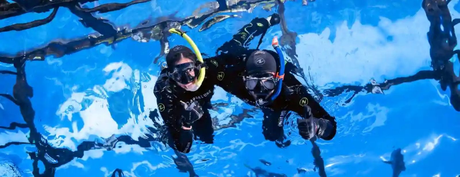Dubai Aquarium & Underwater Zoo Cage Snorkelling Indoor Attractions at dubaitrades.com