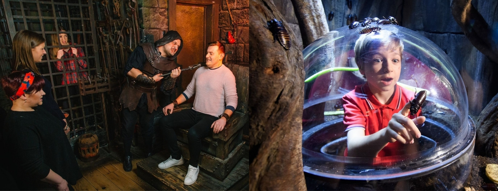 London Dungeon, SEA LIFE London & Madame Tussauds - 3 way ticket Recently Added Experiences at shafqa.com London Dungeon, SEA LIFE London & Madame Tussauds - 3 way ticket Recently Added Experiences at shafqa.com