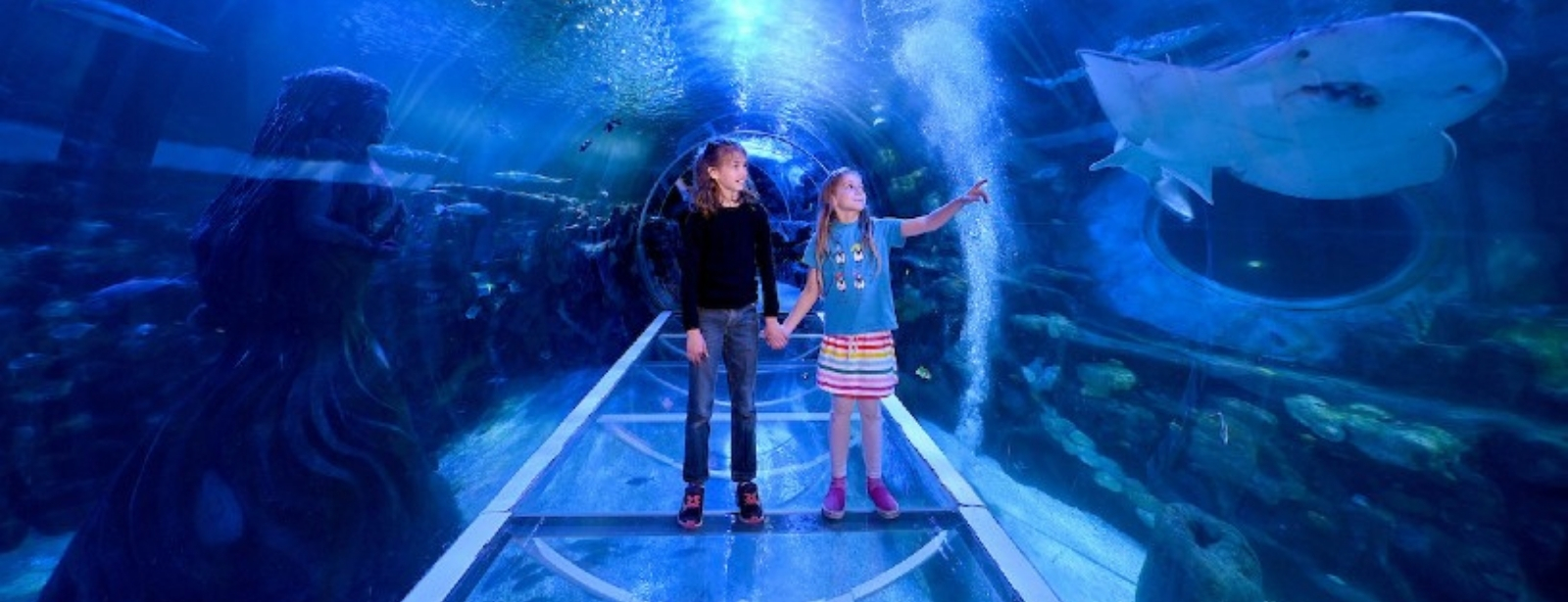 SEA LIFE Birmingham Indoor Attractions at shafqa.com SEA LIFE Birmingham Indoor Attractions at shafqa.com