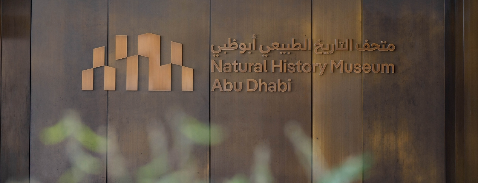 Natural History Museum Abu Dhabi (anyone under 18 years go free) Museums at oxge.com Natural History Museum Abu Dhabi (anyone under 18 years go free) Museums at directholidaysuae.com