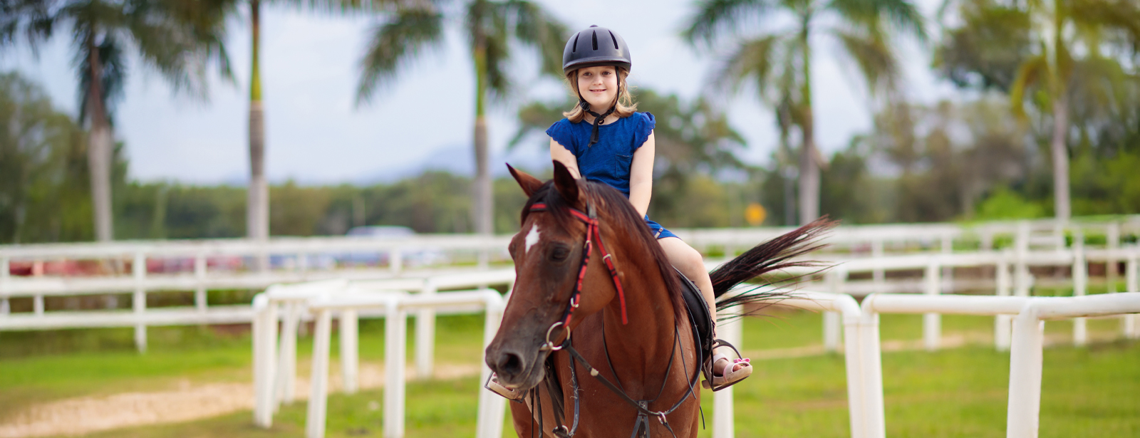 Pony Ride at Al Forsan Experiences at dubaitraveltours.com