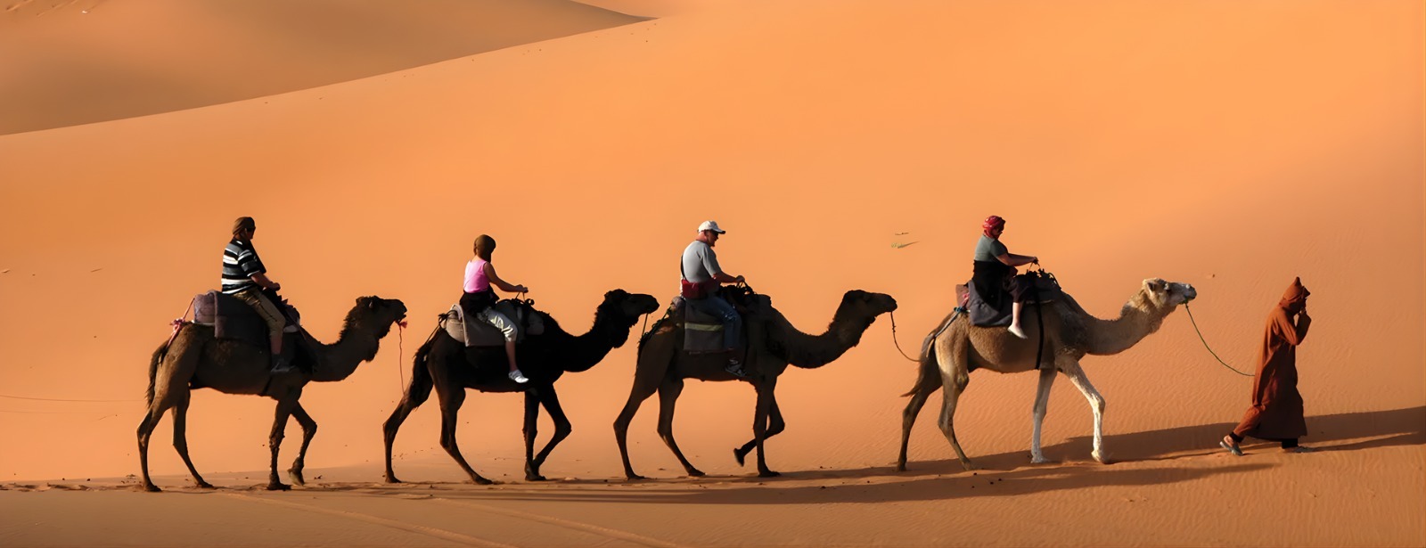 Camel Caravan at Kasbah Le Mirage & Spa Sightseeing and Tours at oxge.com Camel Caravan at Kasbah Le Mirage & Spa Sightseeing and Tours at directholidaysuae.com