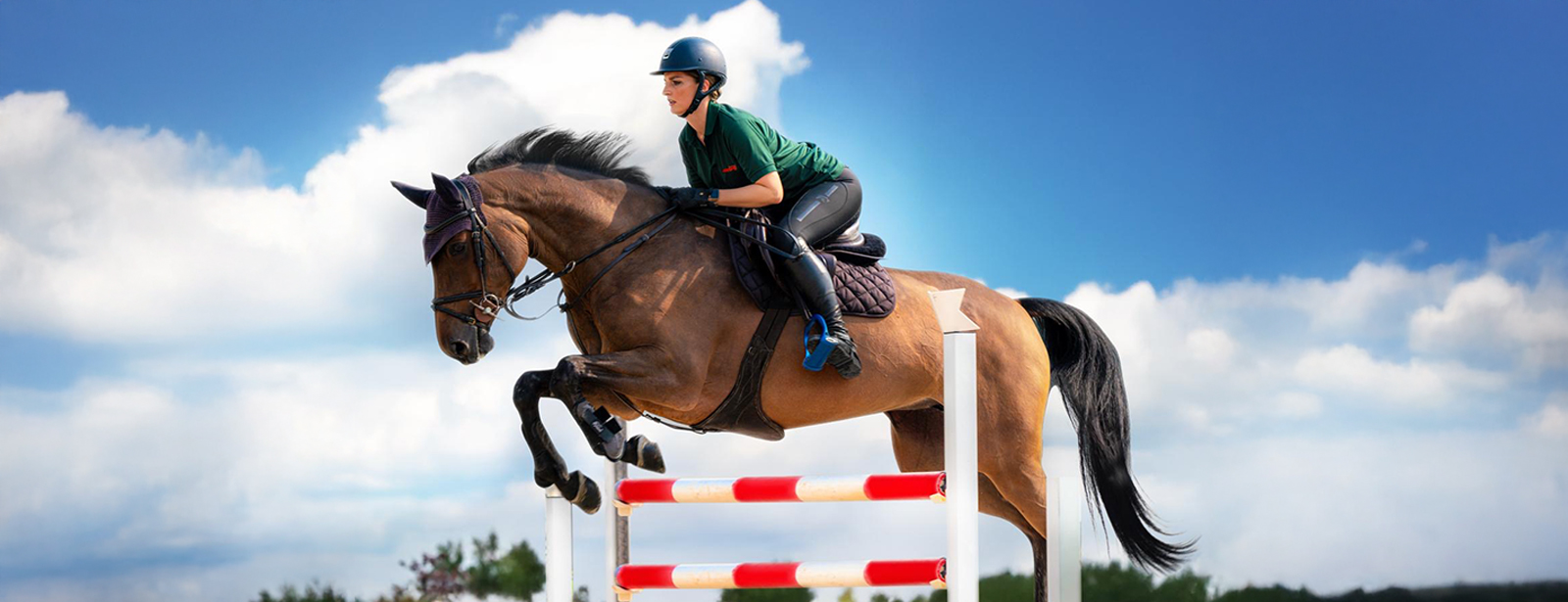 Equestrian Horse Ride at Al Forsan Recently Added Experiences at dubaitraveltours.com