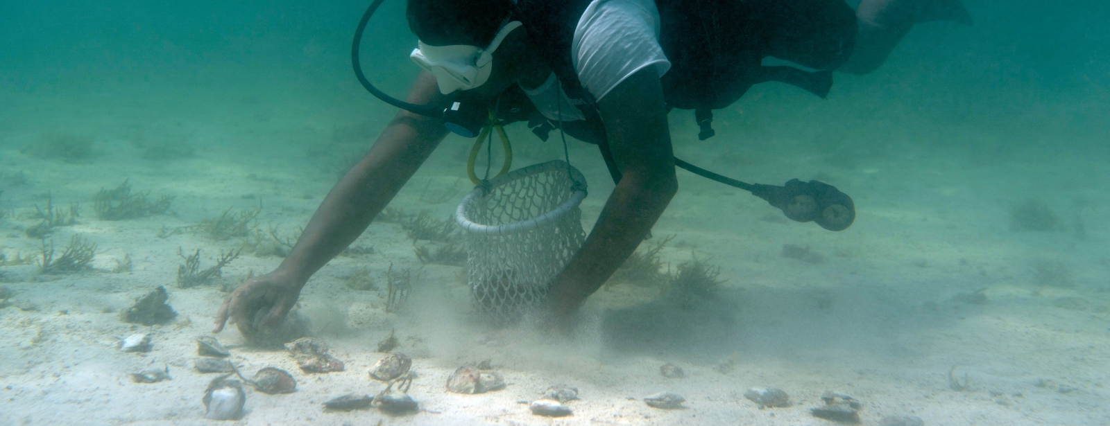 Pearl Diving Water Sports at dubaitraveltours.com