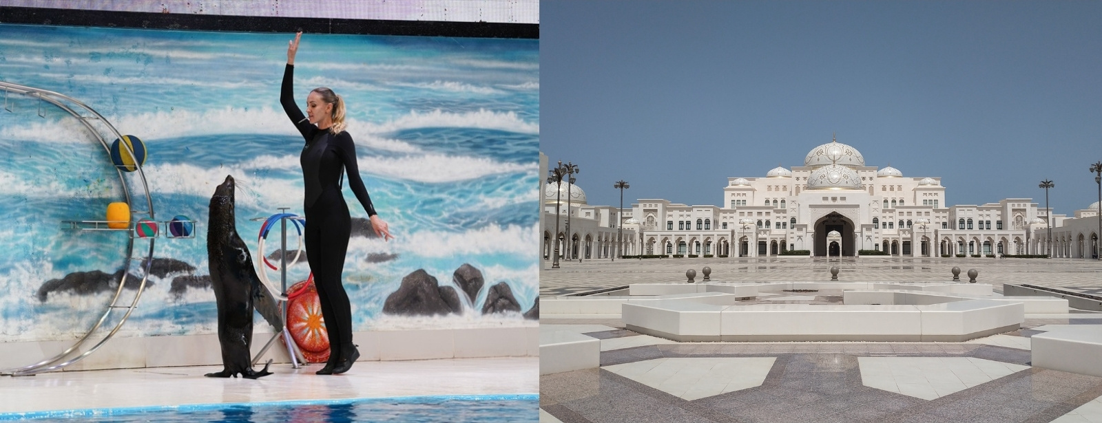 Qasr Al Watan + Dolphin & Seal Show - Combo Recently Added Experiences at dubaitraveltours.com