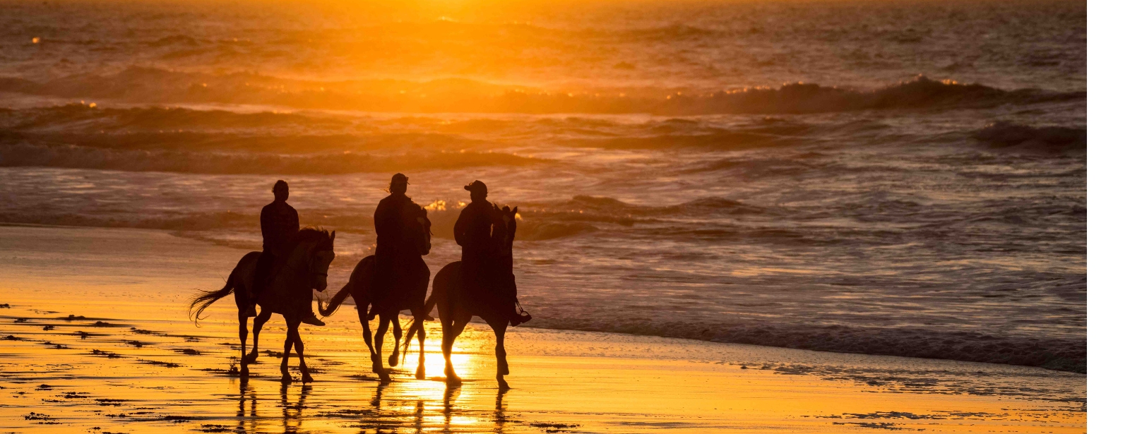 Horseback Ride at Le Ranch des Dunes, Dakhla Must-see attractions at oxge.com Horseback Ride at Le Ranch des Dunes, Dakhla Must-see attractions at directholidaysuae.com