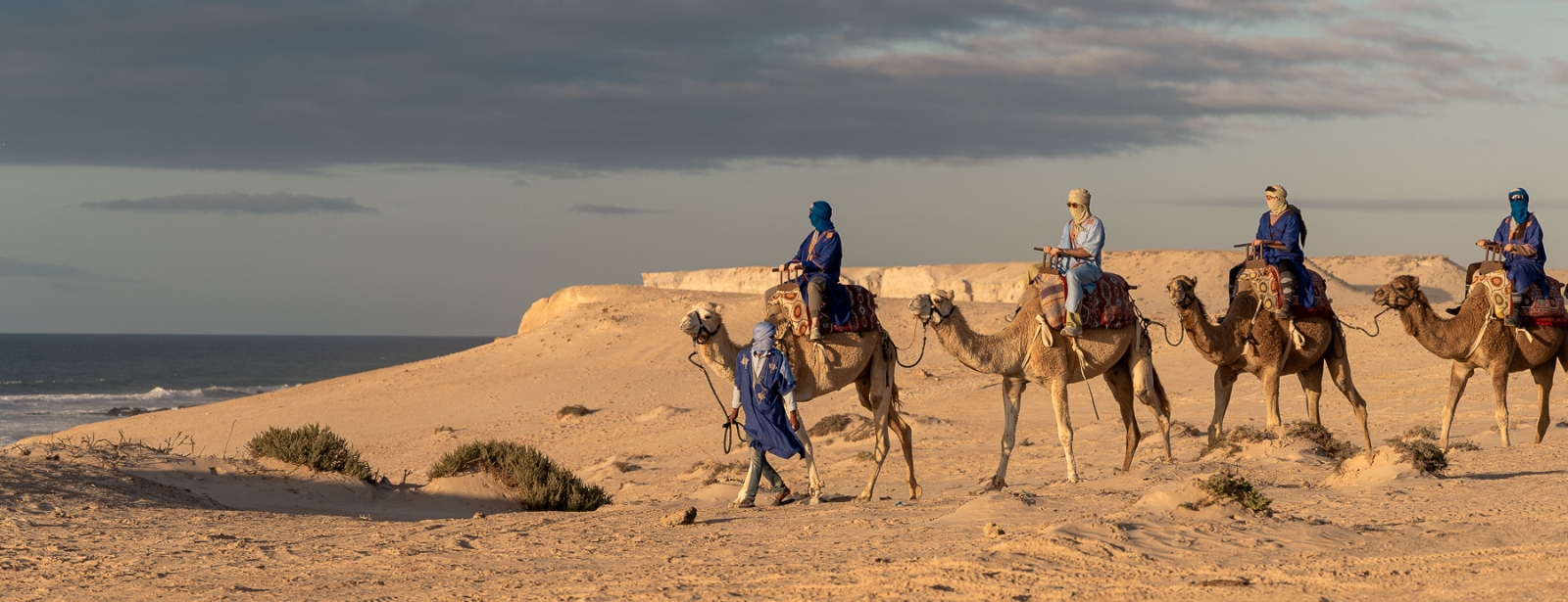 Camel Ride at Le Ranch des Dunes, Dakhla Must-see attractions at oxge.com Camel Ride at Le Ranch des Dunes, Dakhla Must-see attractions at directholidaysuae.com