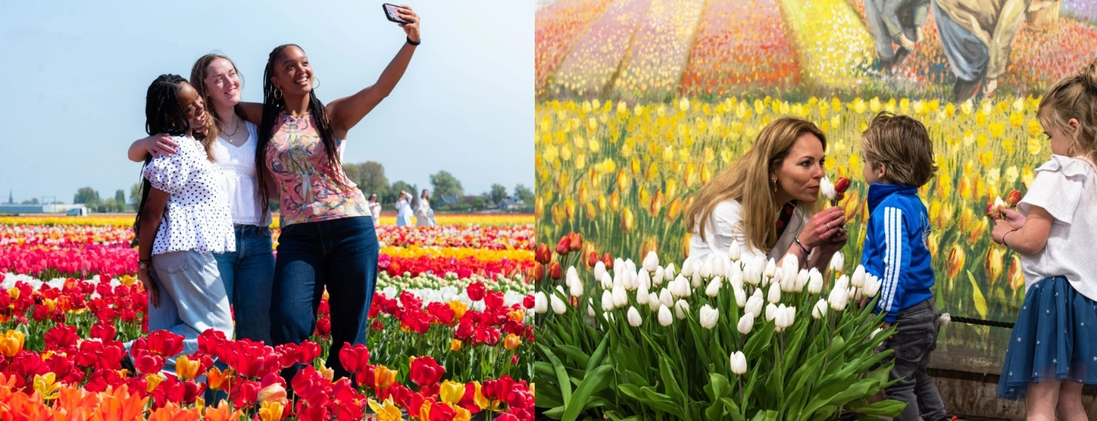 Tulip Experience Amsterdam: Entry Ticket Recently Added Experiences at oxge.com Tulip Experience Amsterdam: Entry Ticket Recently Added Experiences at directholidaysuae.com