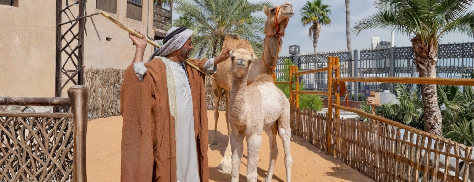 Emirati Hospitality Experience (Breakfast) Sightseeing and Tours at dubaitraveltours.com