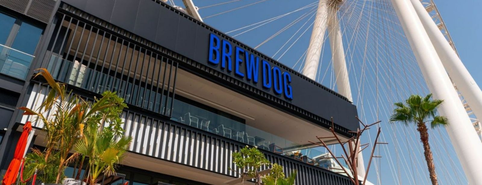 The Ultimate BrewDog Experience: Food, Drinks & Beer Flights Brunches at dubaimegadeals.com The Ultimate BrewDog Experience: Food, Drinks & Beer Flights Brunches at dubaimegadeals.com