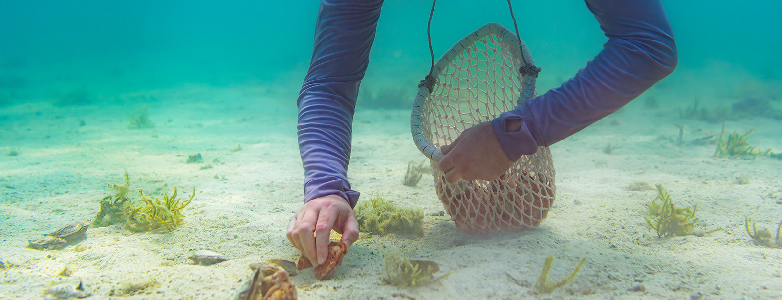 Pearl Snorkeling Water Sports at dubaitraveltours.com