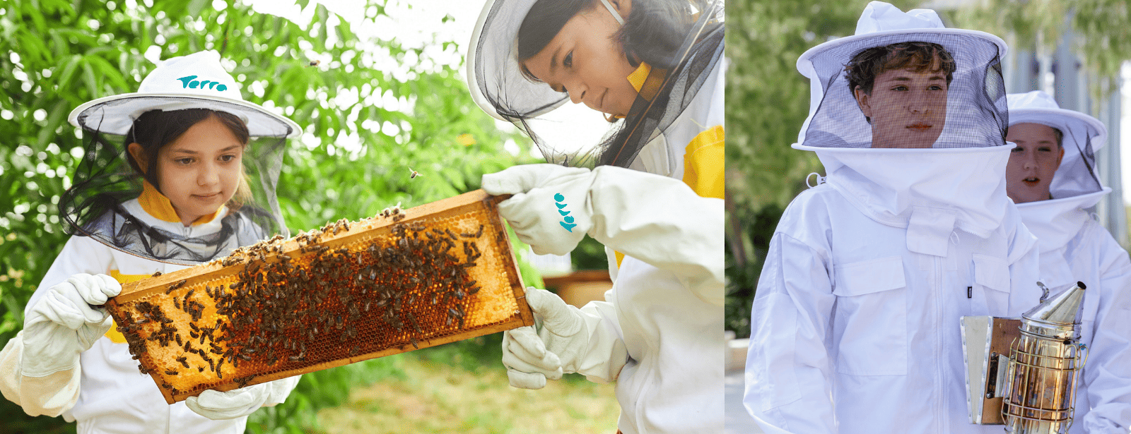 Beekeeping - Kids Edition at Expo City Dubai Recently Added Experiences at dubaitraveltours.com