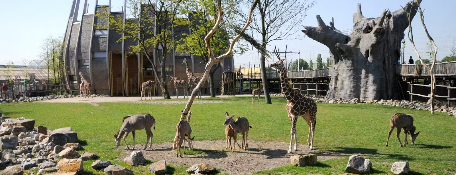 Blijdorp Rotterdam Zoo: Skip The Line Ticket Indoor Attractions at dubaitraveltours.com