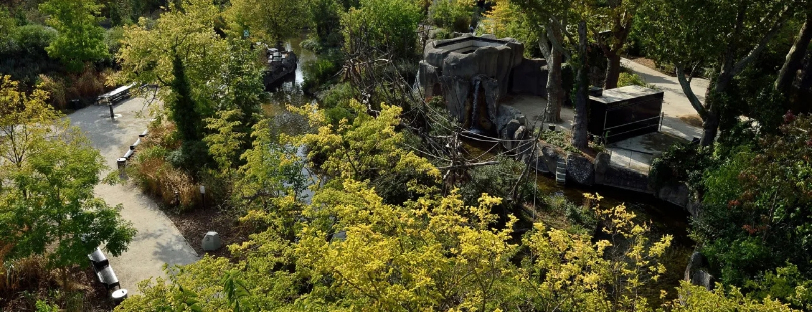 Paris Zoological Park: Entry Ticket Experiences at dubaitraveltours.com Paris Zoological Park: Entry Ticket Experiences at dubaitraveltours.com