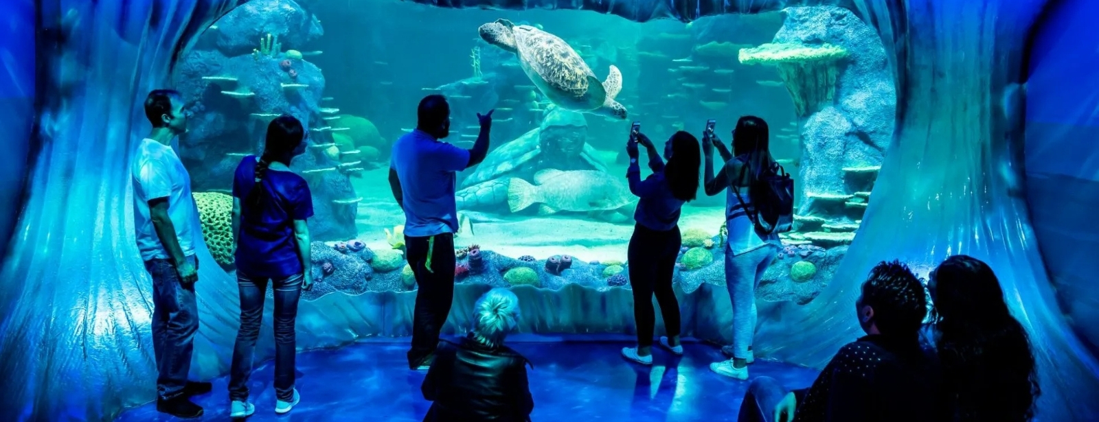 Aquarium de Paris: Entry Ticket Indoor Attractions at dubaitraveltours.com