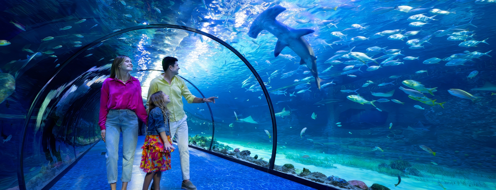 The National Aquarium Abu Dhabi Experiences at dubaitrades.com The National Aquarium Abu Dhabi Experiences at dubaitrades.com