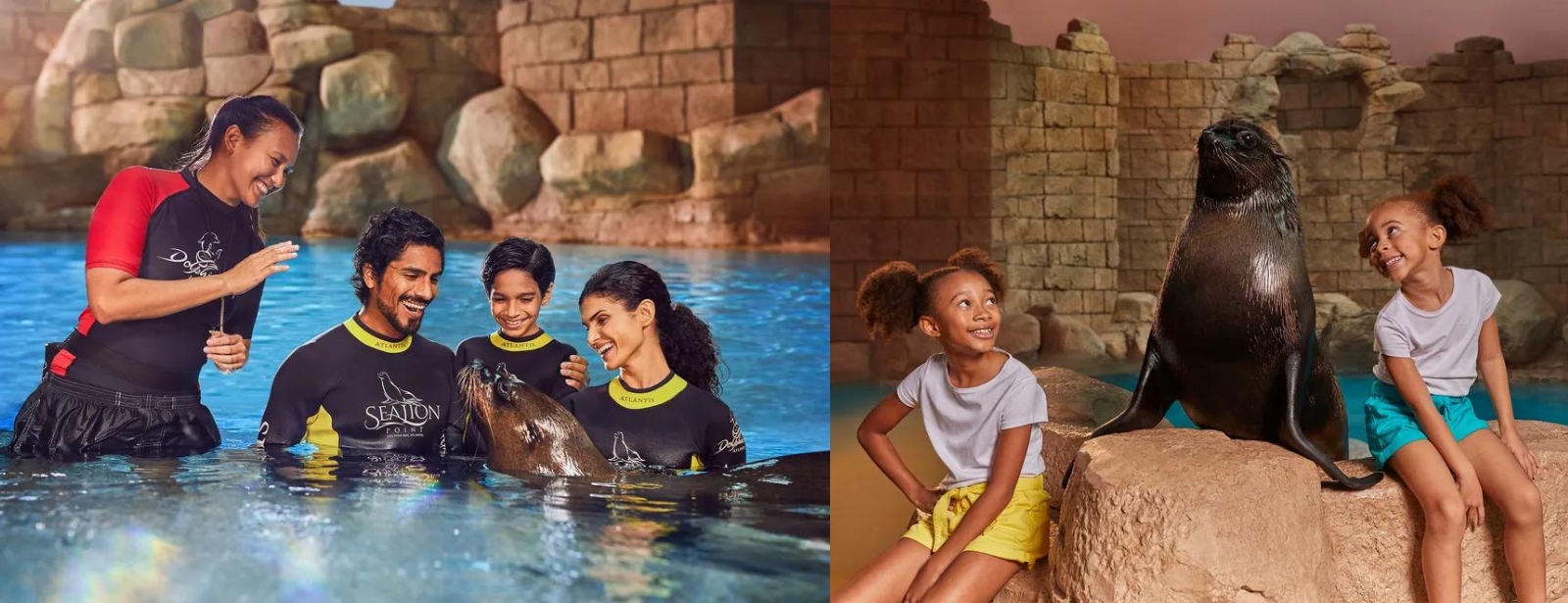 Sea Lion Experiences at Atlantis The Palm Water Parks at dubaitrades.com Sea Lion Experiences at Atlantis The Palm Water Parks at dubaitrades.com