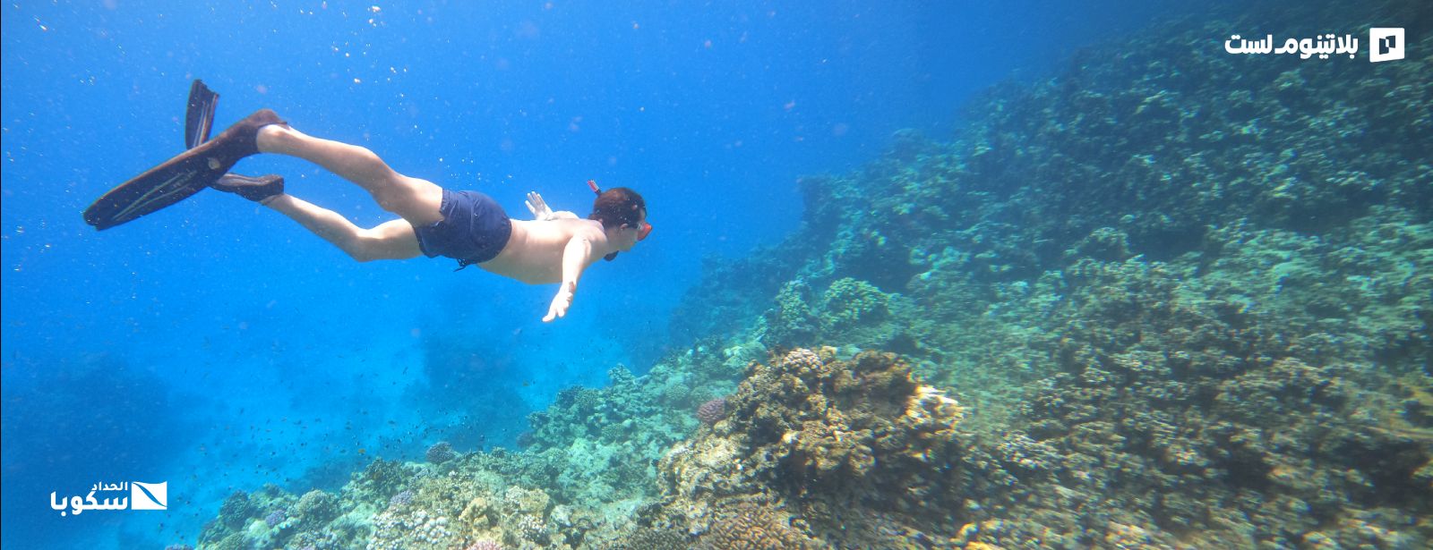 Snorkeling Daily Trips in Jeddah