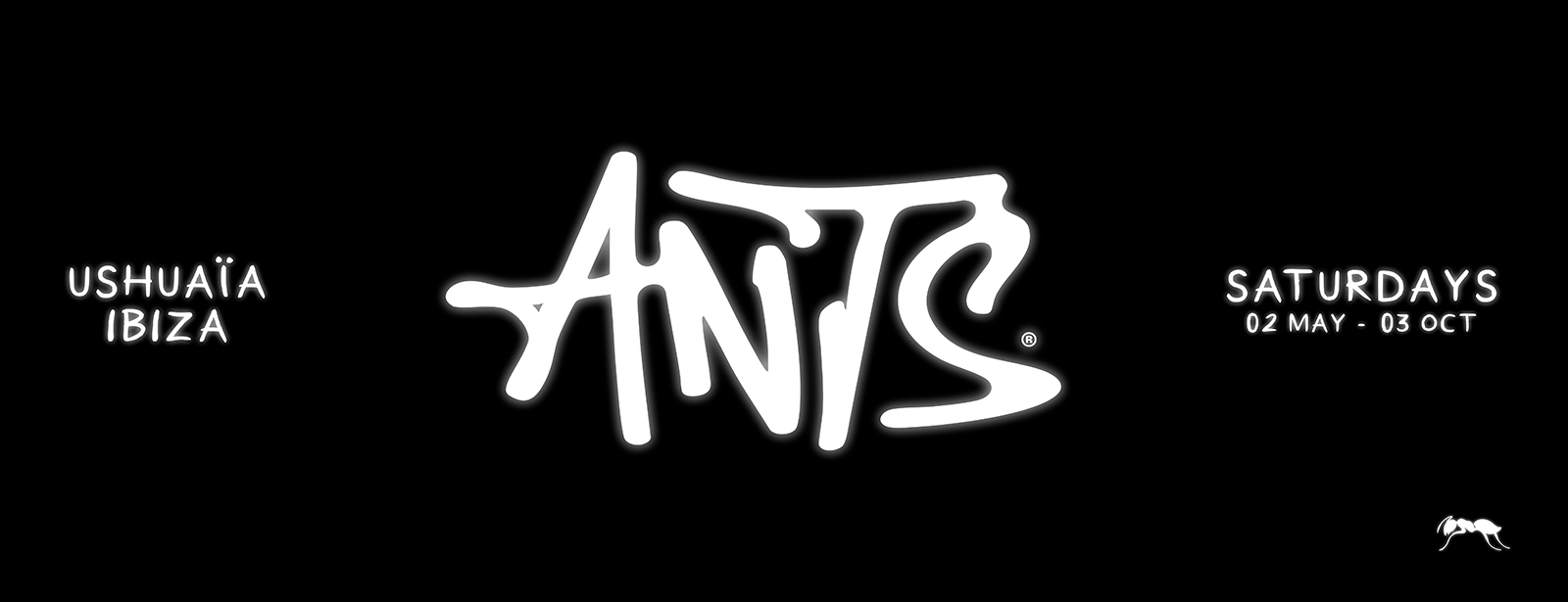 Ants in Ibiza Nightlife at dubaitraveltours.com