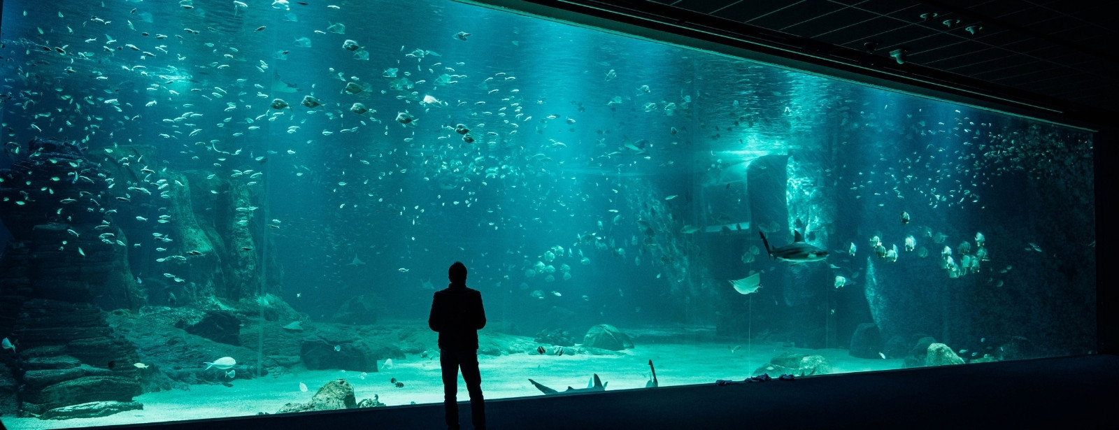 Barcelona Aquarium: Entry Ticket