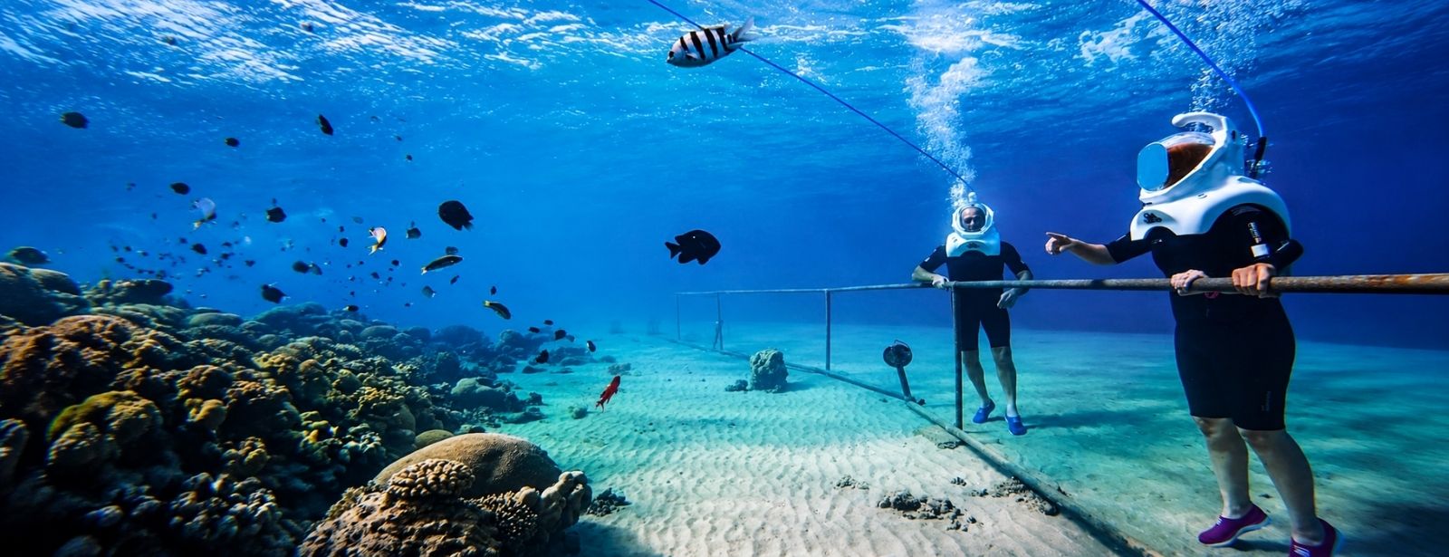 Sea Trek Underwater Walking Experience – Aqaba Shows and Theatrical Plays at dubaitraveltours.com