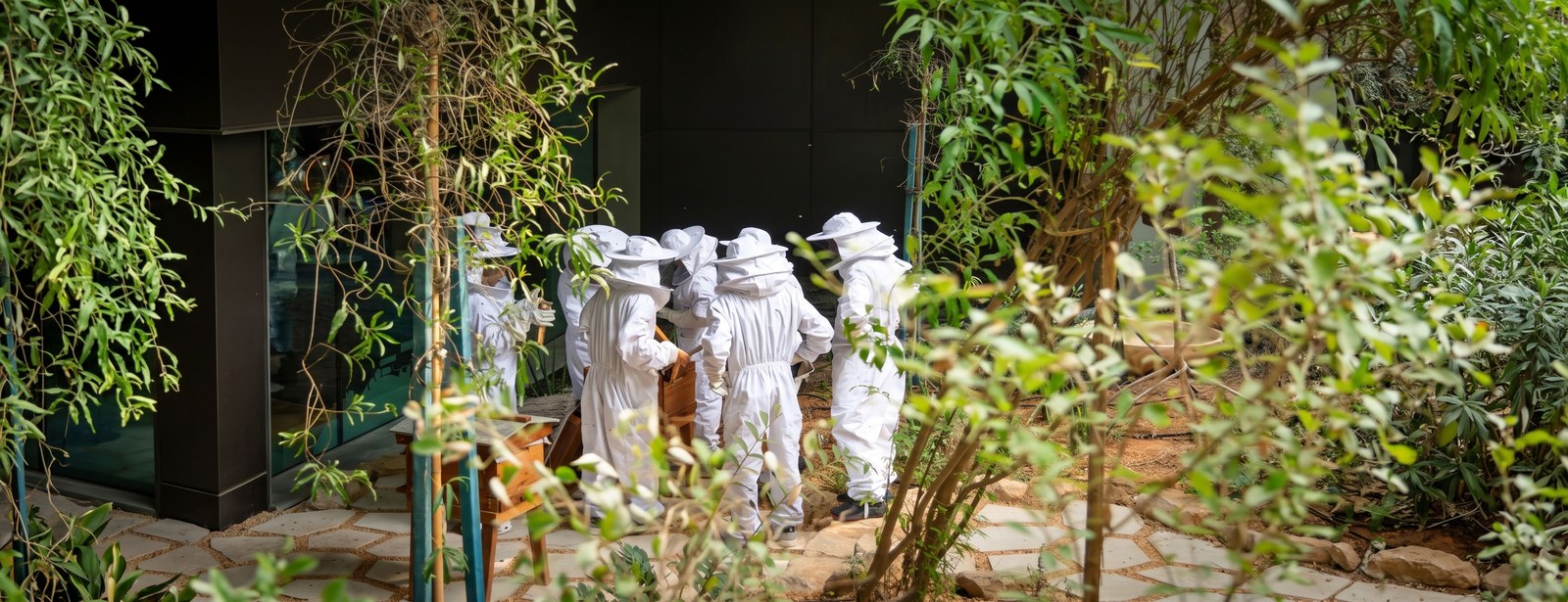 Terra's Novice Beekeeping Course at Expo City Dubai Outdoor Attractions at dubaitraveltours.com