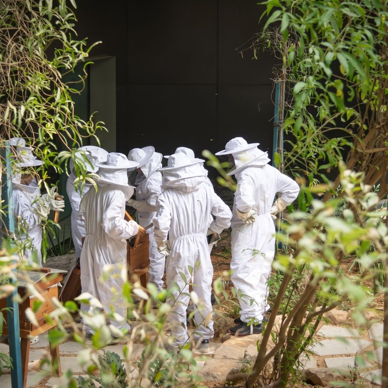 Another view of Terra's Novice Beekeeping Course at Expo City Dubai at Expo City Dubai