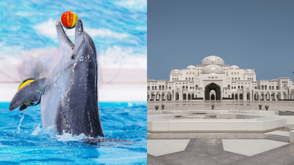 Qasr Al Watan + Dolphin & Seal Show – Combo 2026 United Arab Emirates