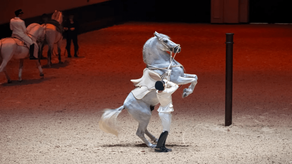 الفروسية: العودة إلى الأصول