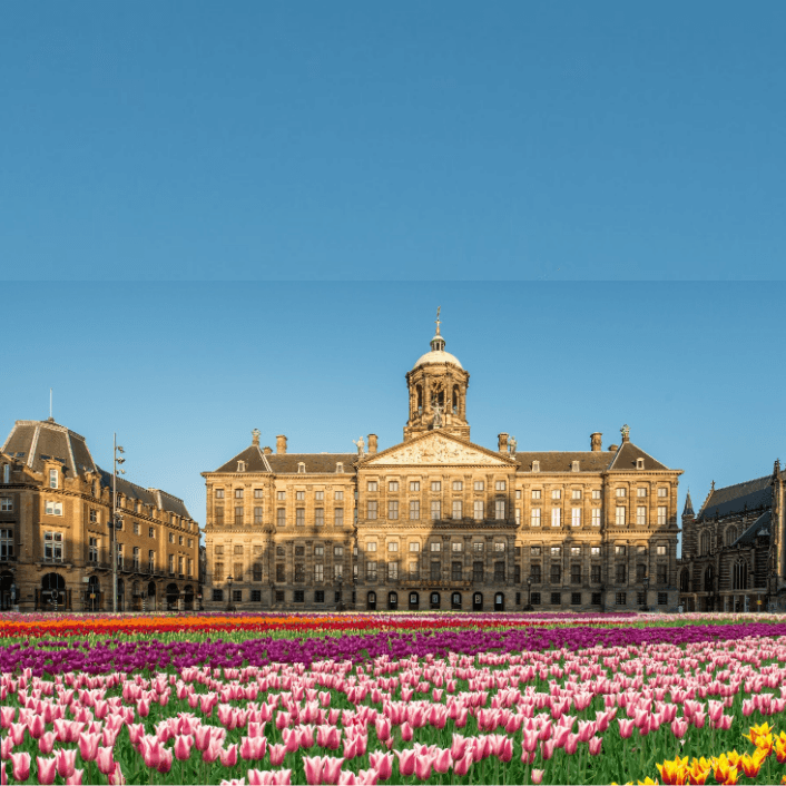 Sightseeing and Tours