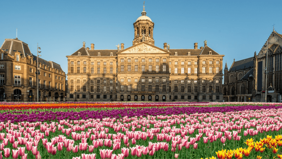 Royal Palace Amsterdam (Koninklijk Paleis): Entry Ticket