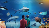 SEA LIFE Birmingham
