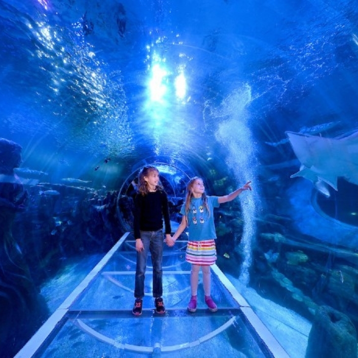 Theme Parks Theme Parks