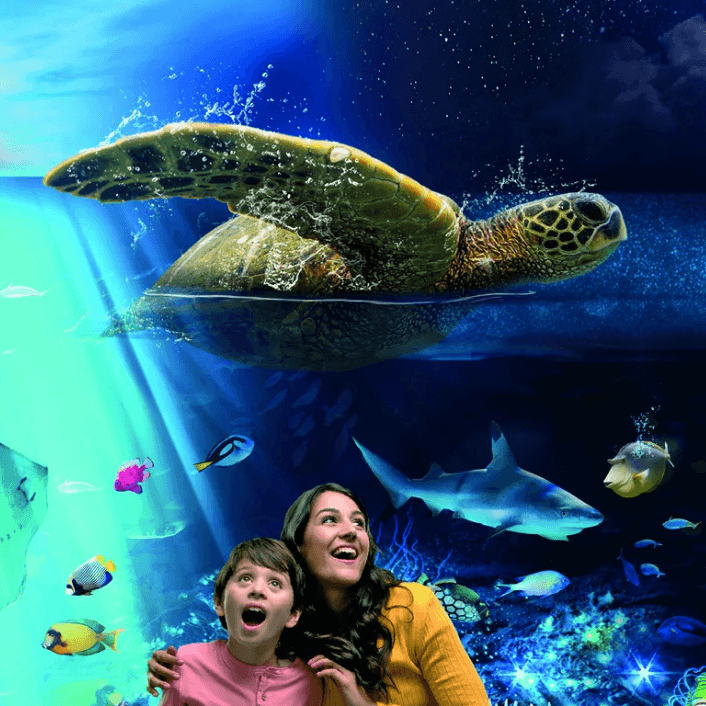 Experiences Experiences