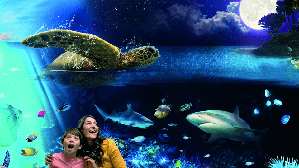 Sea Life Brighton Sea Life Brighton