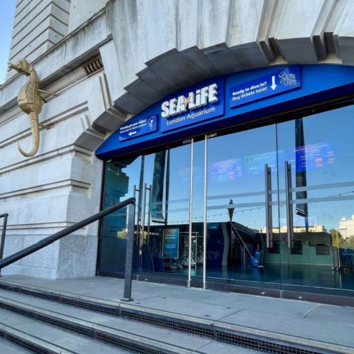 أفضل الأماكن السياحية تقييمًا أفضل الأماكن السياحية تقييمًا