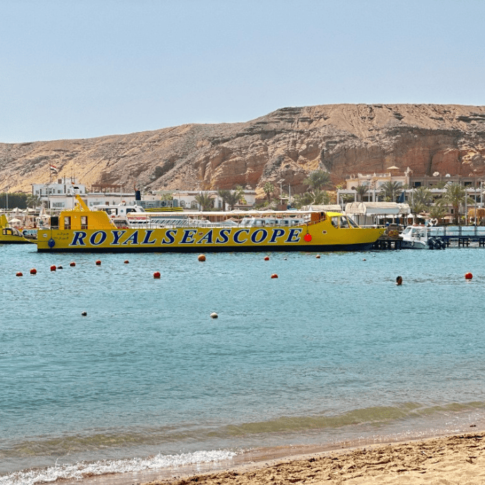 Boat Tours and Cruises