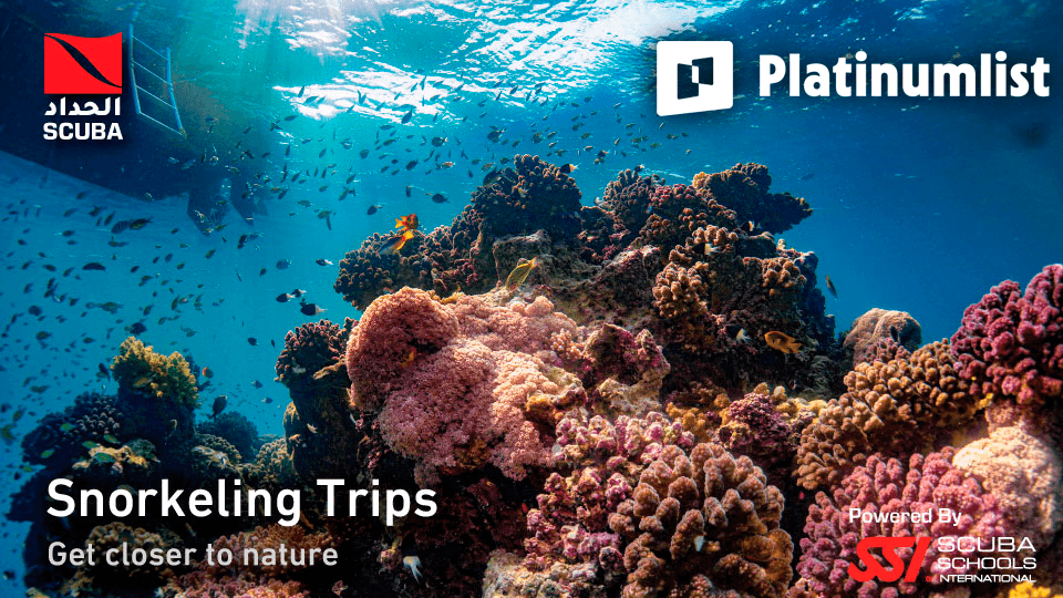Snorkeling Daily Trips in Jeddah